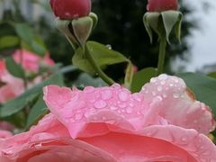 -迎泽公园