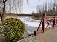 -大兴滨河森林公园