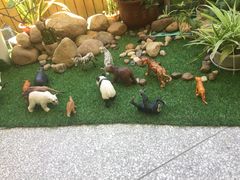 -福州淑佩小金星幼儿园