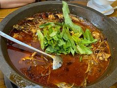 -都江堰石锅鱼