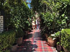 -The Grounds of Alexandria