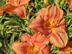 -汉长安城未央宫国家考古遗址公园