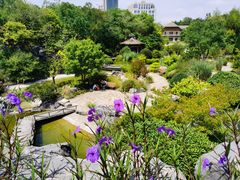 -上海吴淞炮台湾国家湿地公园