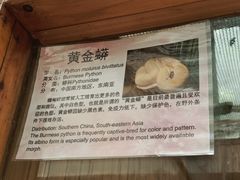 -上海大自然野生昆虫馆(东方明珠·爬宠昆虫探索中心)