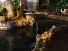 -三亚珠江南田温泉度假区