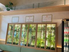 -榆林镇筋饼(知春路店)