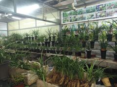 -无锡文化工艺品市场(槐古路店)