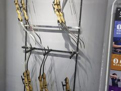 -蓝天射箭馆·专业射箭运动(诚丰广场店)