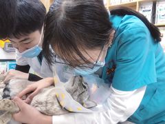 -中农大我爱我爱动物医院·核磁CT·猫病·24小时夜诊中心(石佛营店)