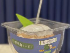 -野萃山·潮汕厚果汁(十亩地店)