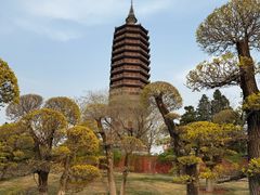 -西海子公园