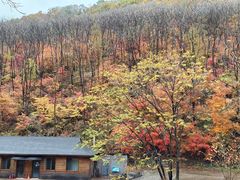 -天女山森林公园