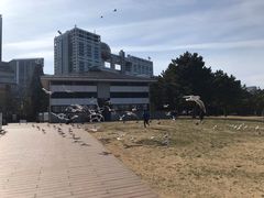 -台场海滨公园船码头