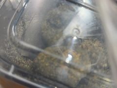 -叶氏麻糍(鼓浪屿店)
