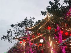 -枇杷园食为鲜火锅(南山店)
