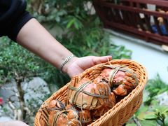 -蟹村草堂·苏式园林人文农家·大闸蟹
