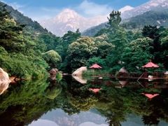 -鲁山国家森林公园