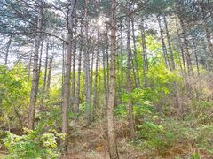 -北京密云天门山风景区