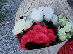 -三圣花乡旅游区