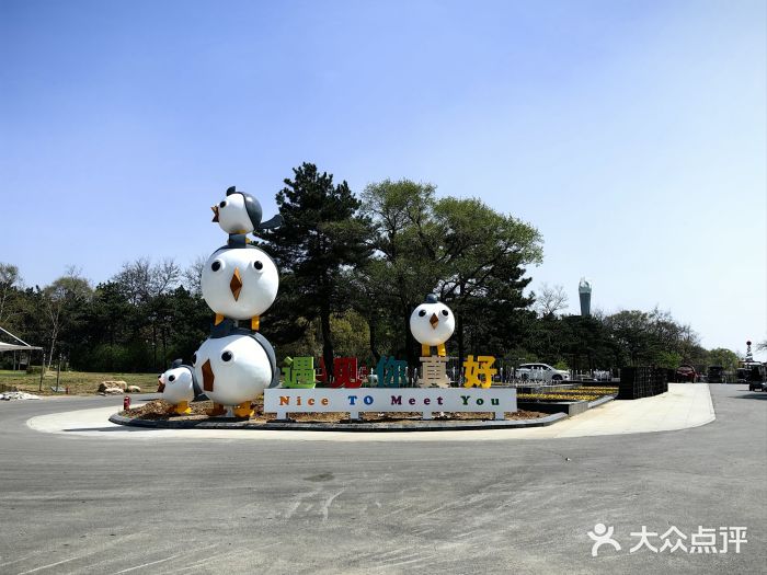 沈阳植物园图片