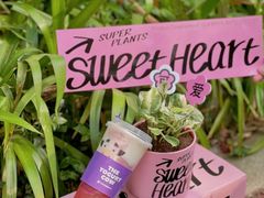 -一只酸奶牛(锦城万达天虹店)