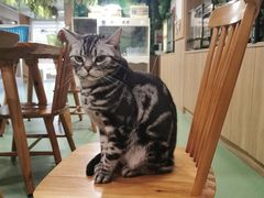 -藦茜花园宠物主题亲子互动体验馆(国顺东路店)