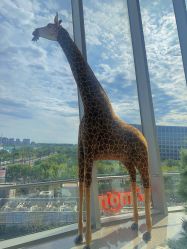 -IMON·HANSA潮玩玩偶毛绒玩具(通州万象汇店)