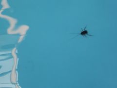 -横琴湾水世界