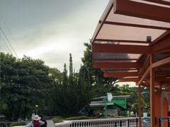 -圣淘沙天际线斜坡滑车