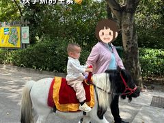 -深圳野生动物园