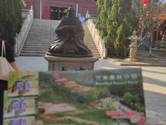 -三水森林公园