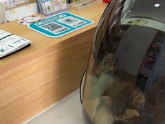 -瑞派长江宠物医院·猫科·外科·24小时夜护(谊城公寓分院)
