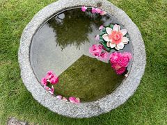 -诗莉莉·厚德堂私房菜