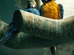 -石家庄市动物园