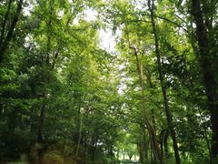-龙井壹号·茶缘山景宴(龙井村店)