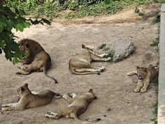 -西霞口神雕山野生动物世界