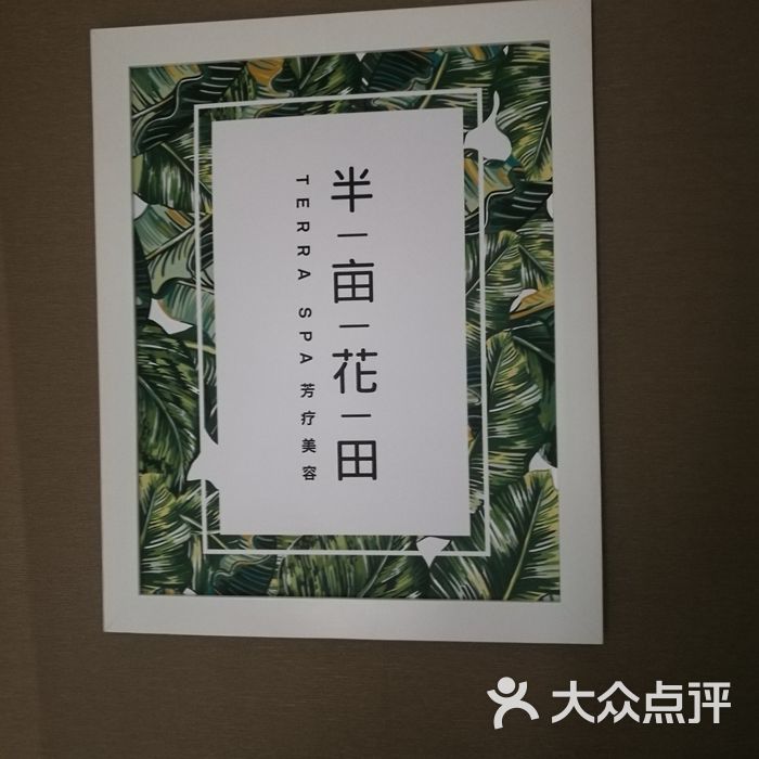 半亩花田图片-北京spa美体-大众点评网
