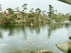 -罗红摄影艺术馆