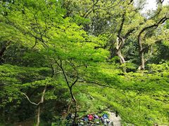 -山外山菜馆(玉泉路店)