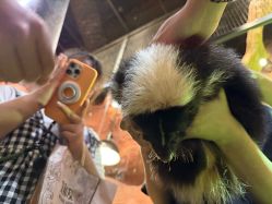 -Zoolung Zoolung动物主题公园(海信广场店)