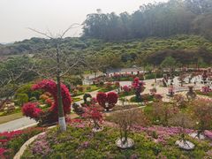 -东莞植物园