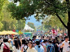 -南京银杏湖乐园