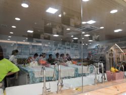 -登康贝比母婴生活(海伦国际店)