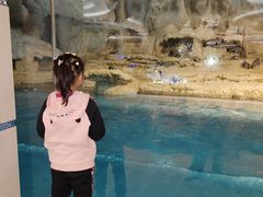 -帝企鹅自助餐厅•儿童岛•真企鹅(长隆企鹅酒店)