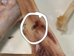 -大自然醉鹅·铁锅火焰鹅(上海联洋店)
