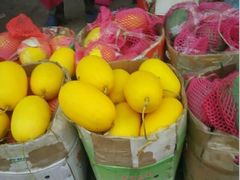 -鸿港海鲜批发市场