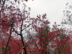 -昆明动物园