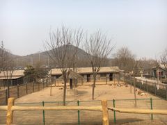 -石家庄市动物园