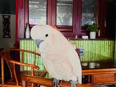 -四海楼(如皋定慧禅寺店)