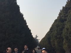 -秦始皇帝陵博物院-丽山园
